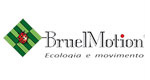 Bruel Motion